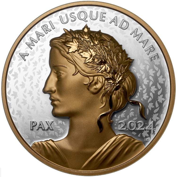 2024 1 Pi Ce De 1 Oz En Argent Pur Avec Placage D Or Jaune   F52357116 